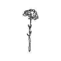 Flower Sticker