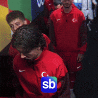Ferdi Millitakim GIF by Sporbulteni