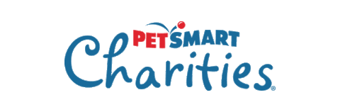 Cat Adopt Sticker by PetSmart Charities