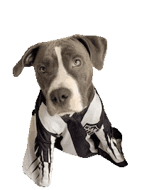 oliviamstaff olivia olivinha somostodosolivia oliviaamstaff Sticker