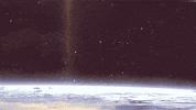 johnbeckers cat space pizza cats GIF