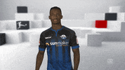 Show Me What GIF by Bundesliga