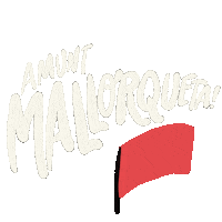 Rcd Mallorca Futbol Sticker