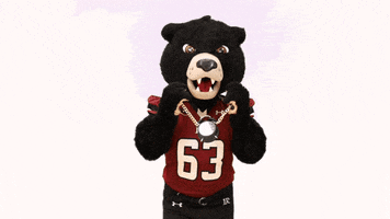 Lenoir Rhyne Hickory GIF by Lenoir-Rhyne University