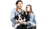 lalogilling dance dogs perro perros Sticker