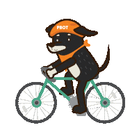 Dog Bike Sticker by PBOT Info