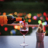 Pouring Red Wine GIF by Campo Viejo UK