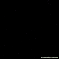allie x animation GIF by Brandan Ray