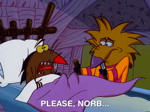 nickrewind giphydvr nicksplat angry beavers giphyab014 GIF