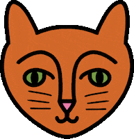 Cool Cat No Sticker