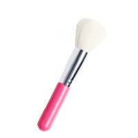 Pink Makeup Sticker by Vice Cosmetics