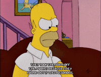 homer simpson GIF