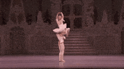 Dance Dancing GIF by Royal Opera House