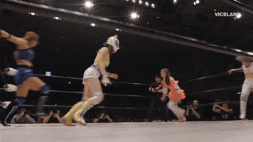 Jump Win GIF by THE WRESTLERS