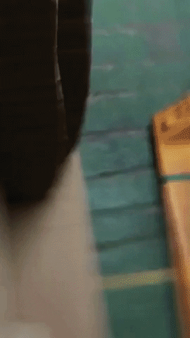 insights___ giphygifmaker GIF