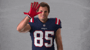 Hunter Henry Football GIF by New England Patriots