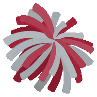 Washington State Cougars Sticker by College Colors Day