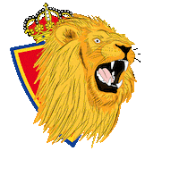 football soccer Sticker by Real Zaragoza