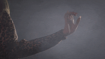 Dragula GIF by BouletBrothersDragula