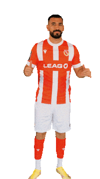 Stadion 3Liga Sticker by FC Energie Cottbus e.V.