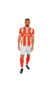 Spieltag Stadion Sticker by FC Energie Cottbus e.V.