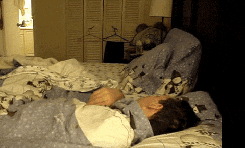 animals being jerks call GIF