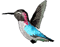 PositPixel pixel art sprite sprites hummingbird Sticker