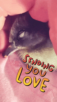 Baby Love GIF