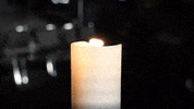 Line Of Duty Usa GIF by City of Orlando