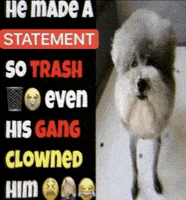 He Made A Statement GIF