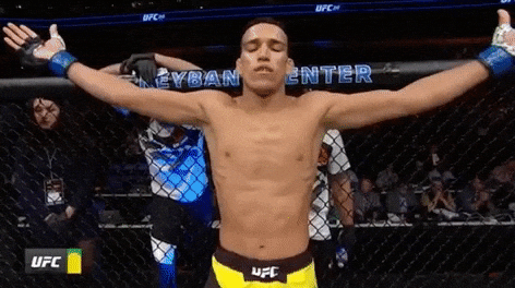 ufc 210 GIF