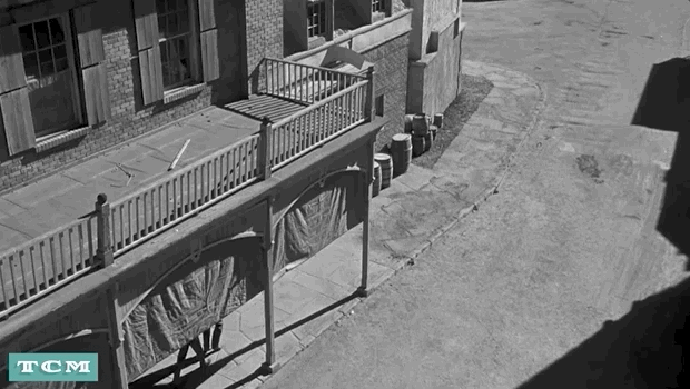 Black And White Film GIF by Turner Classic Movies