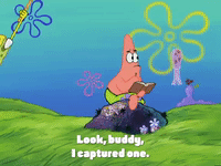 season 4 GIF by SpongeBob SquarePants