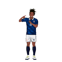 France Football Sticker by Panini America