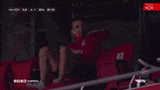 Sl Benfica Slbgif GIF by Sport Lisboa e Benfica