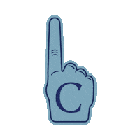 Hand Cheer Sticker by Cabrini University