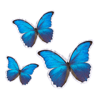 Stars Cut Out Sticker