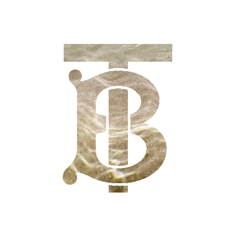 Fashion Summer Sticker by Burberry