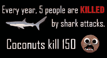 Video gif. Illustration of a shark and a coconut with big eyes and sharp teeth. Text, “Every year, five people are killed by shark attacks. Coconuts kill one hundred fifty.” Man wearing a bear hat sits on his head, bobbing his head, and suddenly a coconut is thrown at his head, causing blood to explode from his head and to fall over.