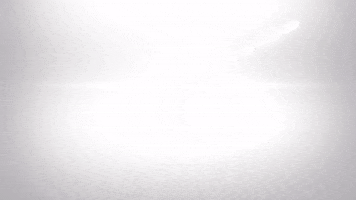 NovaSound miami nova nova sound novasound GIF