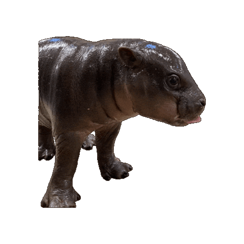 Grand Rapids Fun Sticker by John Ball Zoo