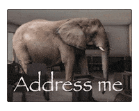 Elephant Sticker