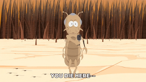 scared lice GIF by South Park 