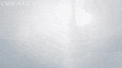 drama box GIF by Mammoth Screen