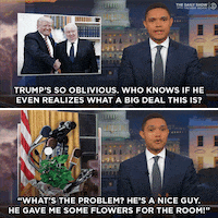 GIF by The Daily Show with Trevor Noah