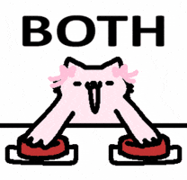 Excited Cat GIF by sillynub