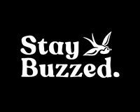 sailawaycoffee cold brew sail away sail away coffee GIF