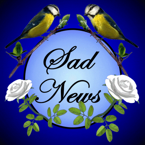 We Will Miss You Bad News GIF