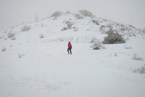 winter running through the snow GIF