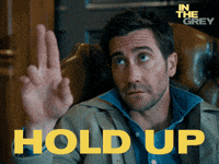 Jake Gyllenhaal In The Grey GIF by Black Bear Pics